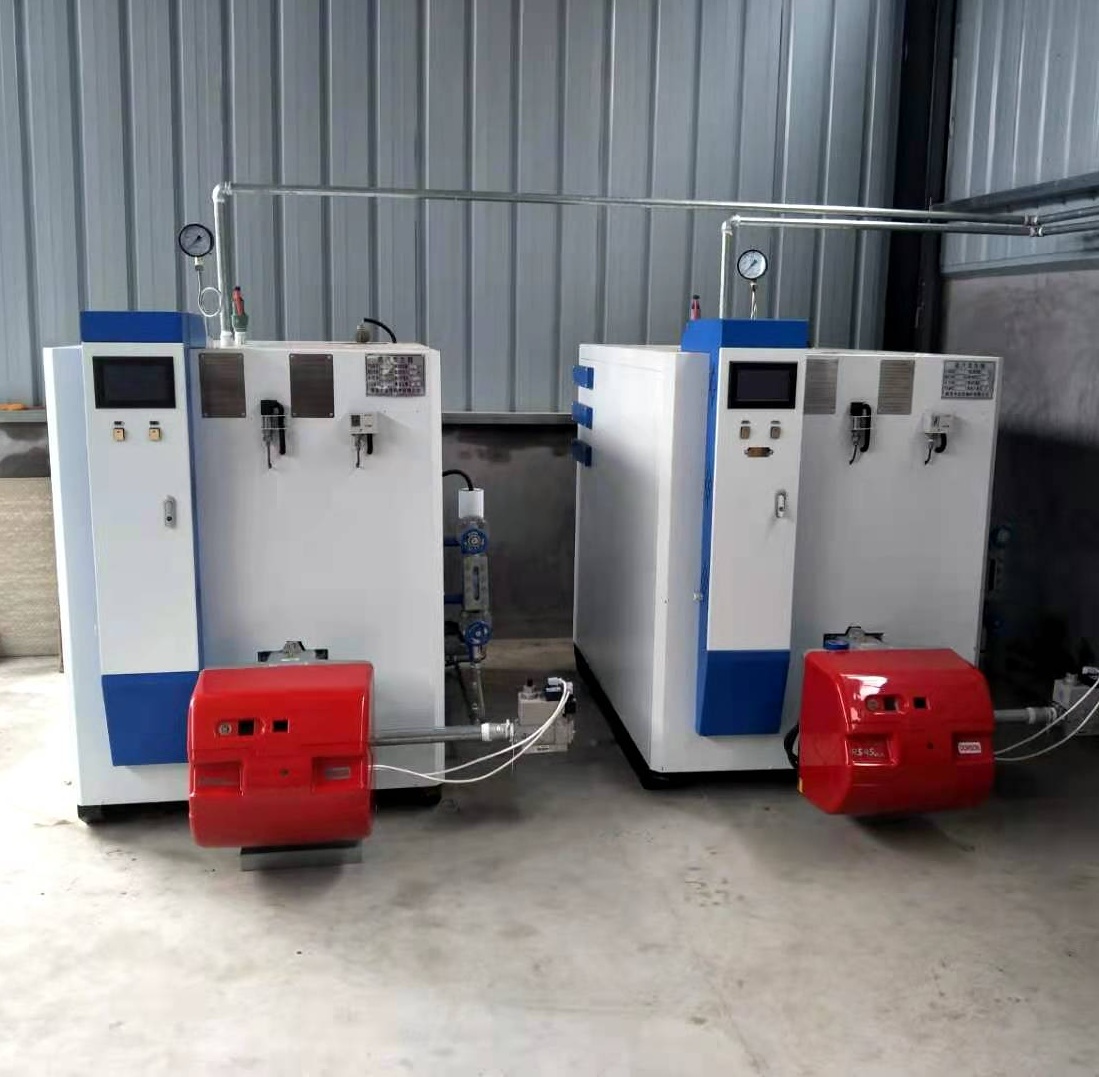 燃氣蒸汽發(fā)生器 燃氣蒸汽發(fā)生器